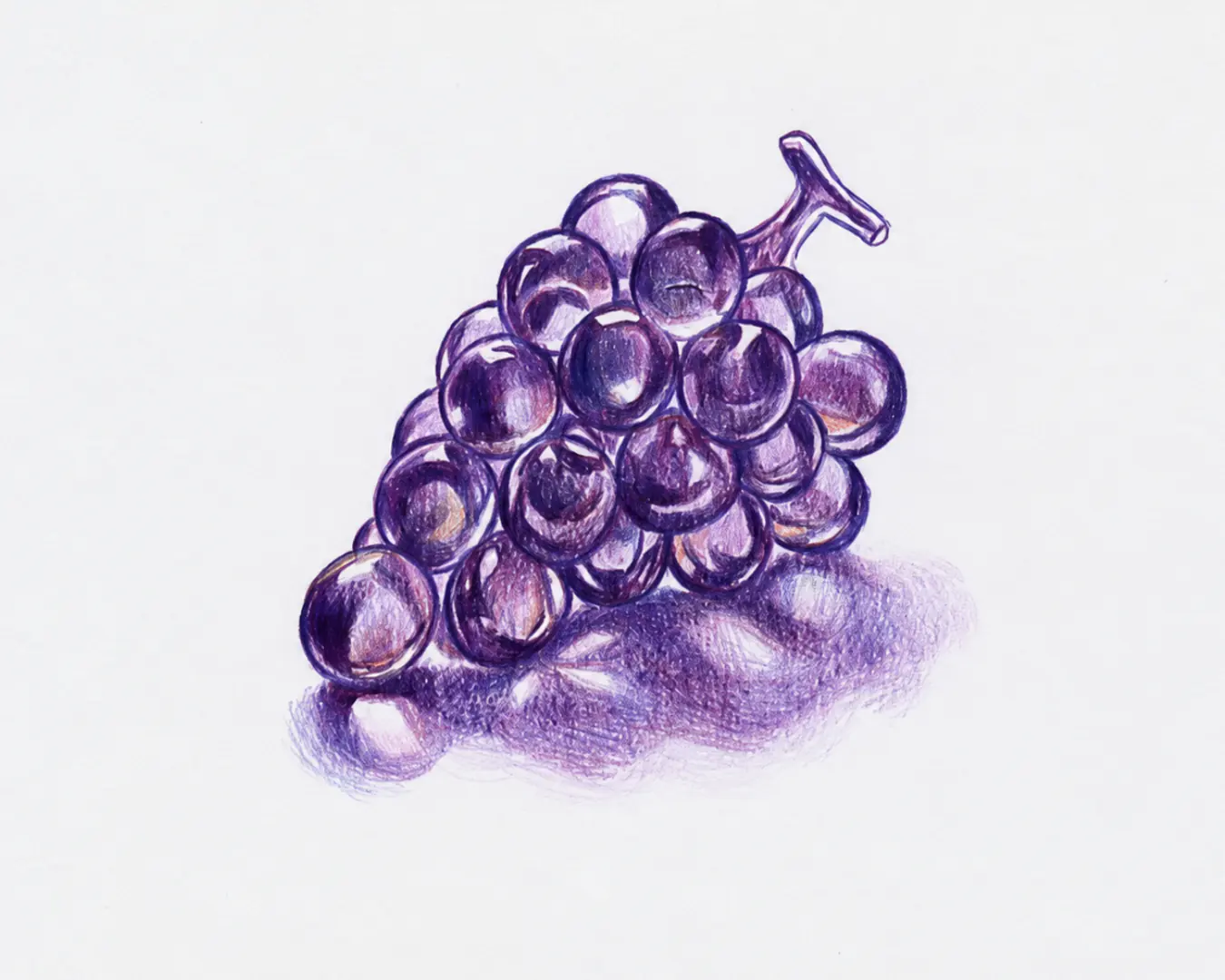 Module 7: The Shimmering Grapes